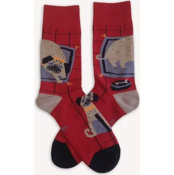 Ponožky Můj mazlík - Ponožky EU 43-46