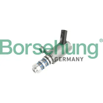 Vačková hřídel Centrální ventil, seřízení vačkového hřídele Borsehung B11858