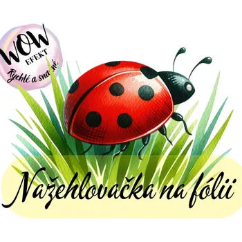 Nažehlovačky na fólii Nažehlovačka na fólii, BERUŠKA v trávě, 6,5x9,7cm /ks