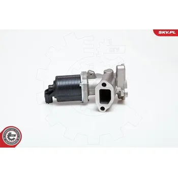 Ventil palivového systému AGR-Ventil ESEN SKV 14SKV014