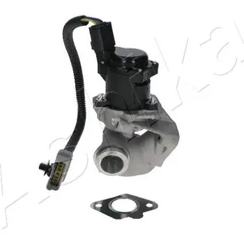 Ventil palivového systému AGR-Ventil ASHIKA 150-00-0301