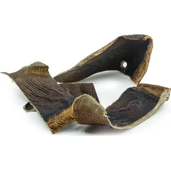 Pro psa RAW RAW Sea Snacks Rejnok ploutve 100g