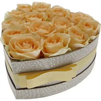 Dárková krabička Krabička meruňkových růží MAGIC AVALANCHE+ šampaň 19x9cm