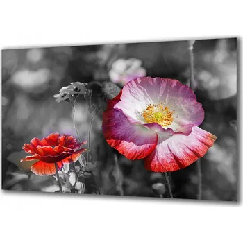 Obraz Obraz na skle Květiny 151598090 120x60