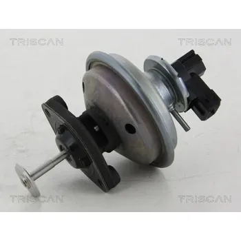 Ventil palivového systému AGR-Ventil TRISCAN 8813 11002