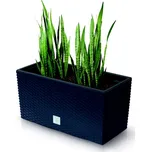 truhlík RATO CASE antracit, 39,5 cm