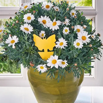 Elektrický lapač 3Pagen 24dílná sada lapačů hmyzu žlutá