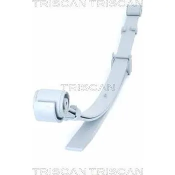 Paket pružin TRISCAN 8765 29021