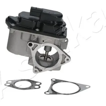 Ventil palivového systému AGR-Ventil ASHIKA 150-00-0901