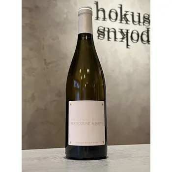 Renaud Boyer - Bourgogne Aligote 2023 0,75 l - naturální víno