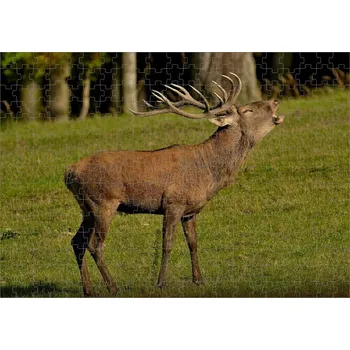 Puzzle pro myslivce myslivecké jelen 300 dílků (foto puzzle myslivecké Lovu Zdar)