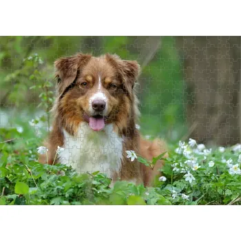 Puzzle Moon River Puzzle s pejskem Border kolie 120 dílků (foto puzzle zvířátka)