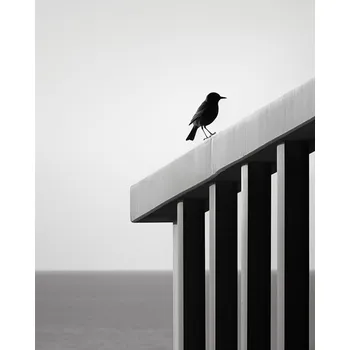 Plakát Plakát Samotná propast bez rámu 40 x 50 cm