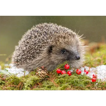 Puzzle Puzzle s ježkem ježek 120 dílků (foto puzzle zvířátka)