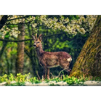 Puzzle Puzzle pro myslivce myslivecké srnec 120 dílků (foto puzzle myslivecké )