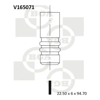 Rozvod motoru Výfukový ventil BG Automotive V165071