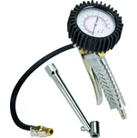 EINHELL pistole na huštění s manometrem Profi