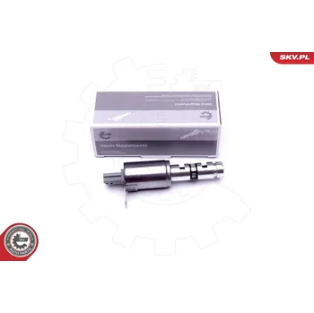 Ventil motoru Řídicí ventil, seřízení vačkového hřídele ESEN SKV 39SKV053