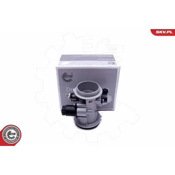 Systém vstřikování Hrdlo škrticí klapky ESEN SKV 12SKV101