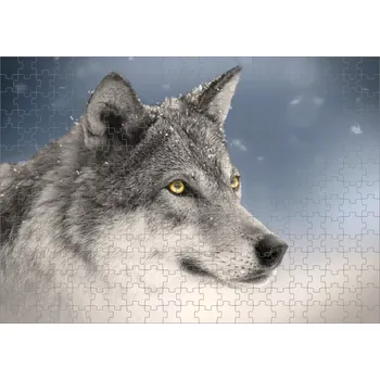 Puzzle Puzzle s vlkem hlava vlka (foto puzzle zvířátka vlk)