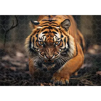 Puzzle Puzzle s tygrem (foto puzzle zvířátka)