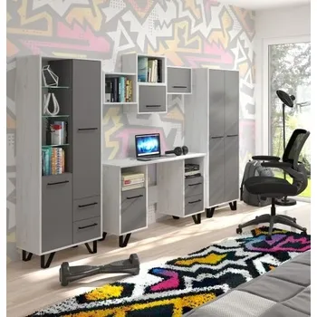 Dětská skříň Dětský a studentský pokoj Boss 5 craft bílý/šedá