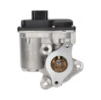 Ventil palivového systému AGR-Ventil NISSENS 98402