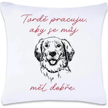 Dekorativní polštářek DOBRÝ TRIKO Polštář s potiskem 40 x 40 cm Tvrdě pracuju pes Oboustranný tisk: NE