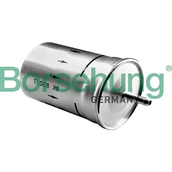 Palivový filtr Palivový filtr Borsehung B12794