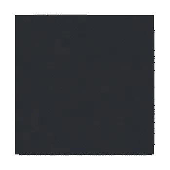 Papírový ubrousek Ubrousky PAW AIRLAID L 40x40cm Unicolor Black