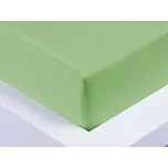 XPOSE® Jersey prostěradlo Exclusive - světle zelené 200x220 cm, Jersey + Prodloužená možnost vrácení zboží do 50 dnů