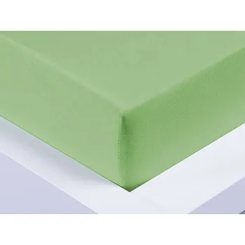 Prostěradlo XPOSE® Jersey prostěradlo Exclusive - světle zelené 200x220 cm, Jersey + Prodloužená možnost vrácení zboží do 50 dnů