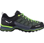 Pánská outdoorová obuv Salewa MS MTN Trainer Lite GTX Myrtle/Ombre Blue UK 8