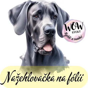 Nažehlovačky na fólii Nažehlovačka na fólii, PES - NĚMECKÁ DOGA, 9,5x7,7 cm /ks