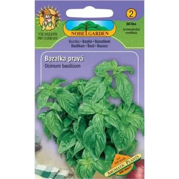 Semeno Nohel Garden Bazalka pravá zelená