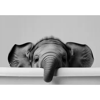 Obraz PLAKÁT BEZ RÁMU do koupelny WC Toalety směšný slon vana P2519_40x50