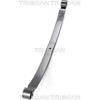 Paket pružin TRISCAN 8765 16027