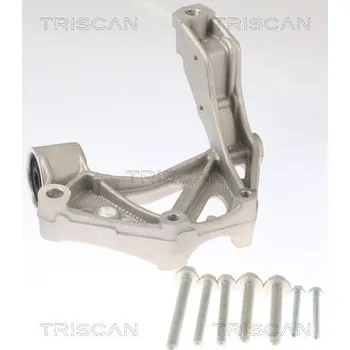 Zavěšení kol Konzola, tělo nápravy TRISCAN 8500 295262