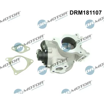 Ventil palivového systému AGR-Ventil Dr.Motor Automotive DRM181107