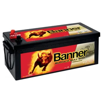 Autobaterie Banner Buffalo Bull SHD Professional 12V, 225Ah, 1150A, 725 03