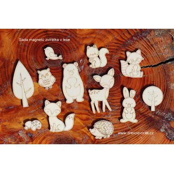 magnetka pro dítě Magnety dřevěné k vymalování Varianta: Rytíři a princezna