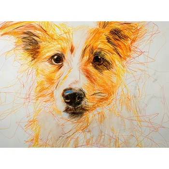 Plakát Plakát Host bez rámu 20 x 15 cm