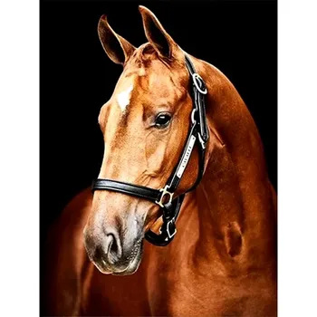 Mozaiková sada HUACAN DIAMOND PAINTING - DIAMANTOVÁ MOZAIKA - KŮŇ 17