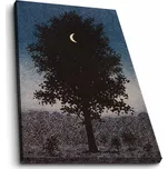 ASIR Obraz na plátně 45 x 70 cm René…