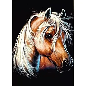 Mozaiková sada HUACAN DIAMOND PAINTING - DIAMANTOVÁ MOZAIKA - KŮŇ 12