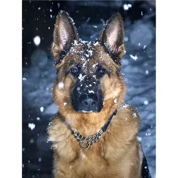 Diamantové malování HUACAN DIAMOND PAINTING - DIAMANTOVÁ MOZAIKA - PES 21