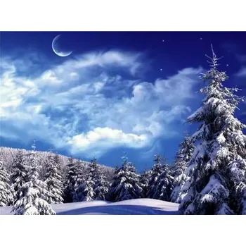 Mozaiková sada HUACAN DIAMOND PAINTING - DIAMANTOVÁ MOZAIKA - ZIMNÍ 12