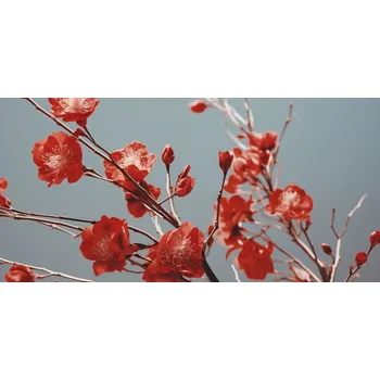 Plakát Plakát Šarlatové Jaro bez rámu 91,3 x 44,5 cm