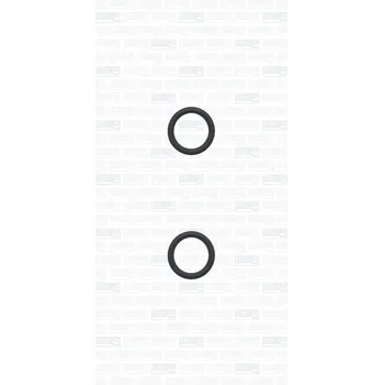 Palivové čerpadlo Sada na opravy, palivové čerpadlo AJUSA 77029200