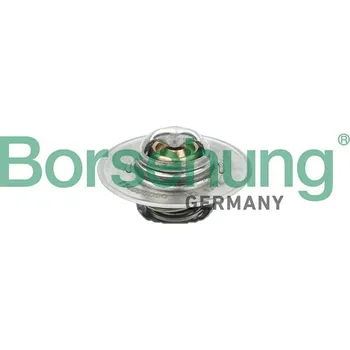 Těsnění motoru Termostat, chladivo Borsehung B18280